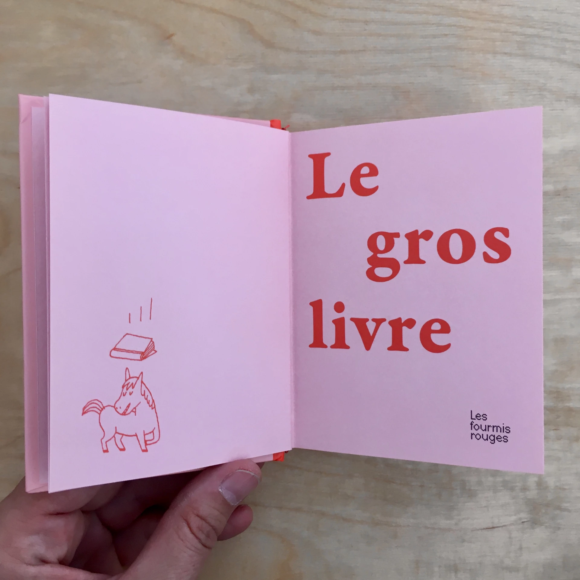 Delphine Perret - Le gros livre