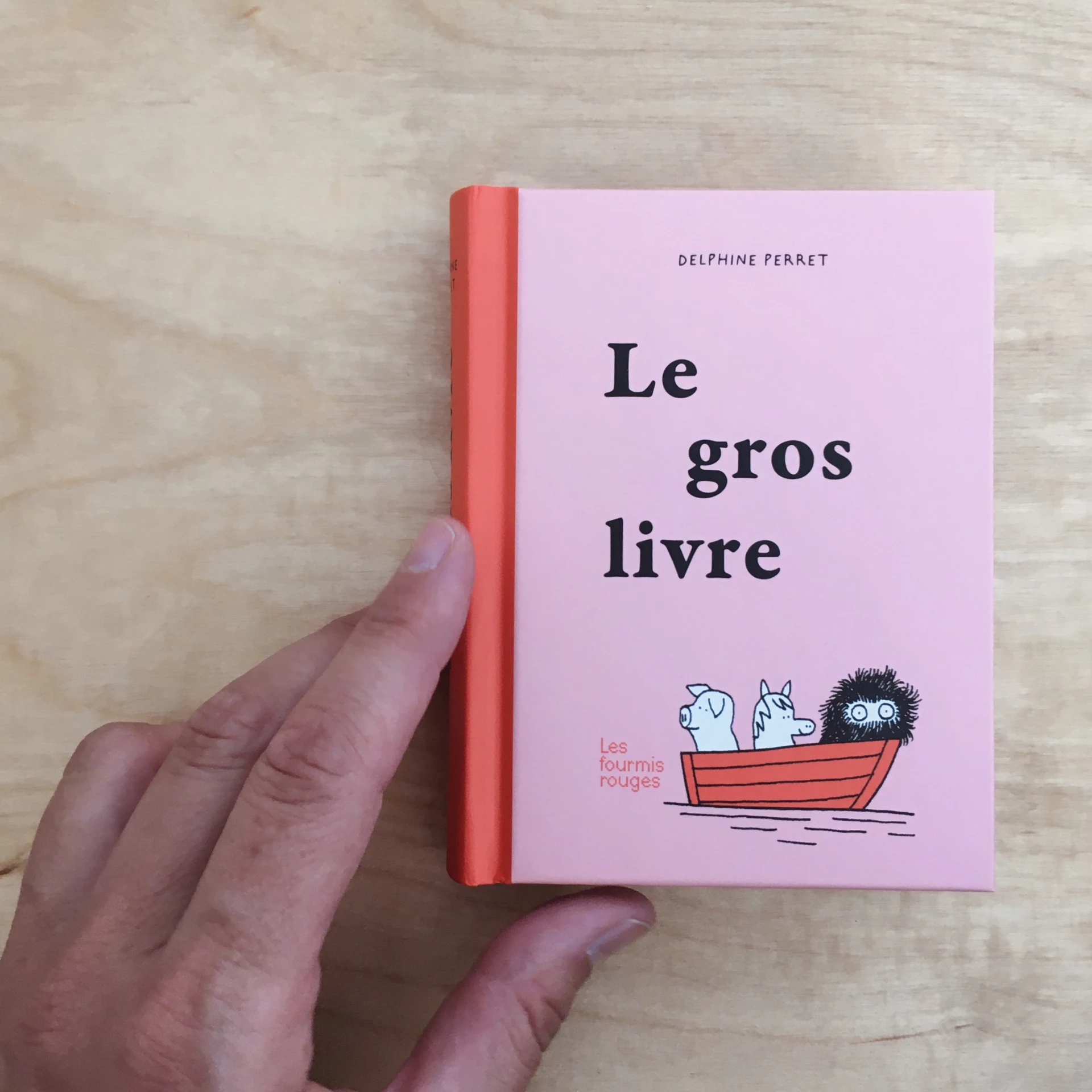 Delphine Perret - Le gros livre