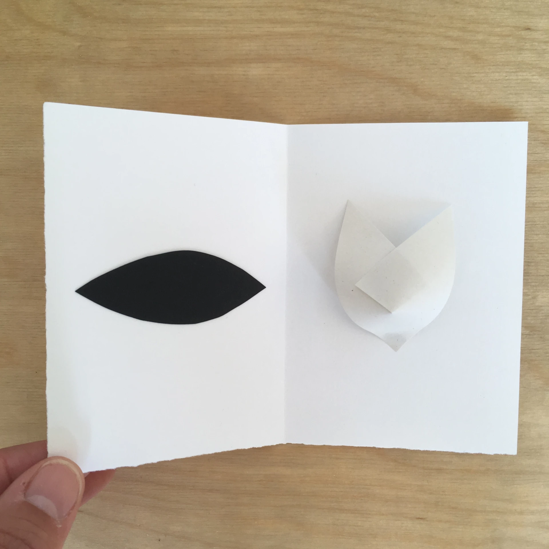 Delphine Perret - Le livre qui ne ferme pas