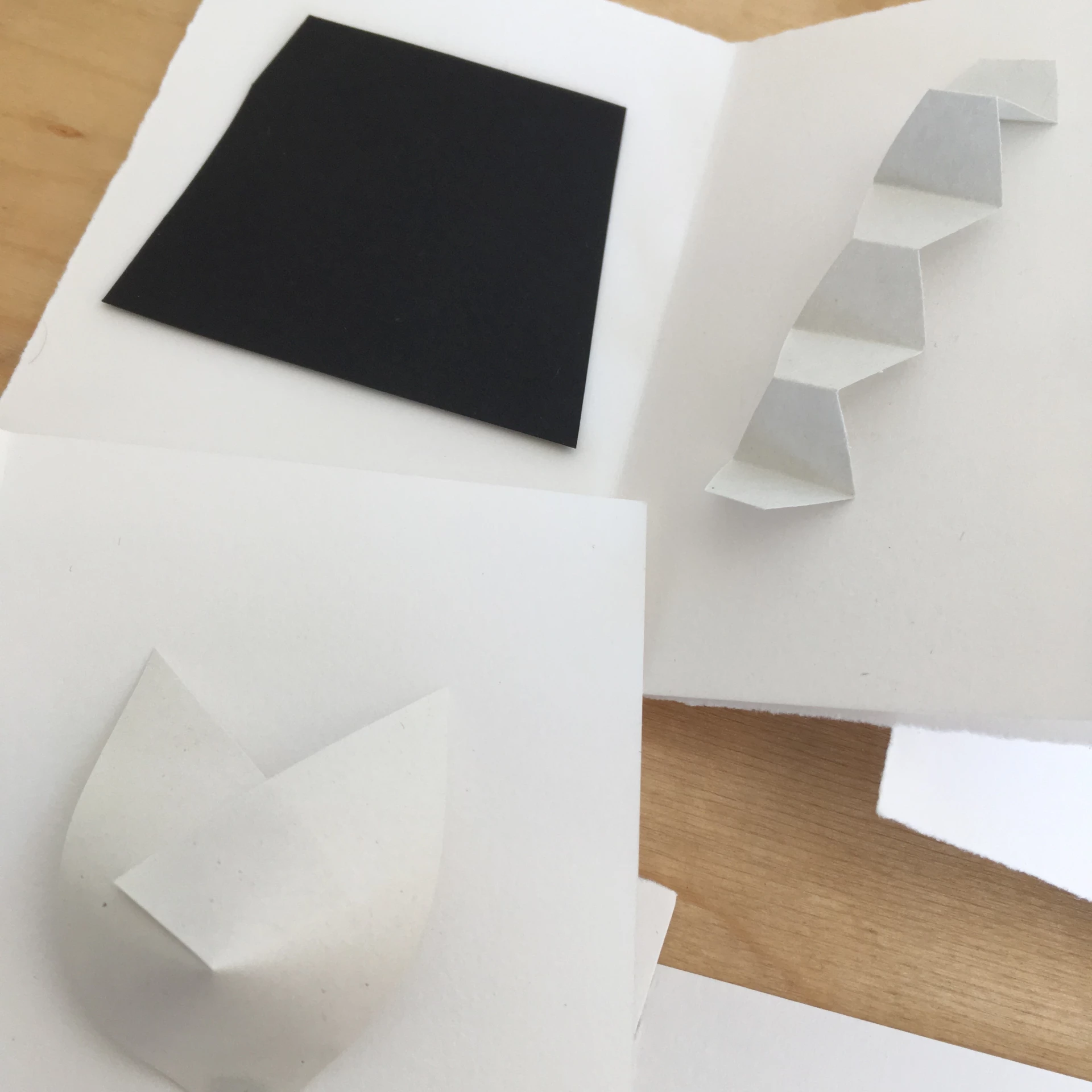 Delphine Perret - Le livre qui ne ferme pas