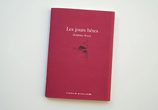 Delphine Perret - Les jours bêtes - livre à poster