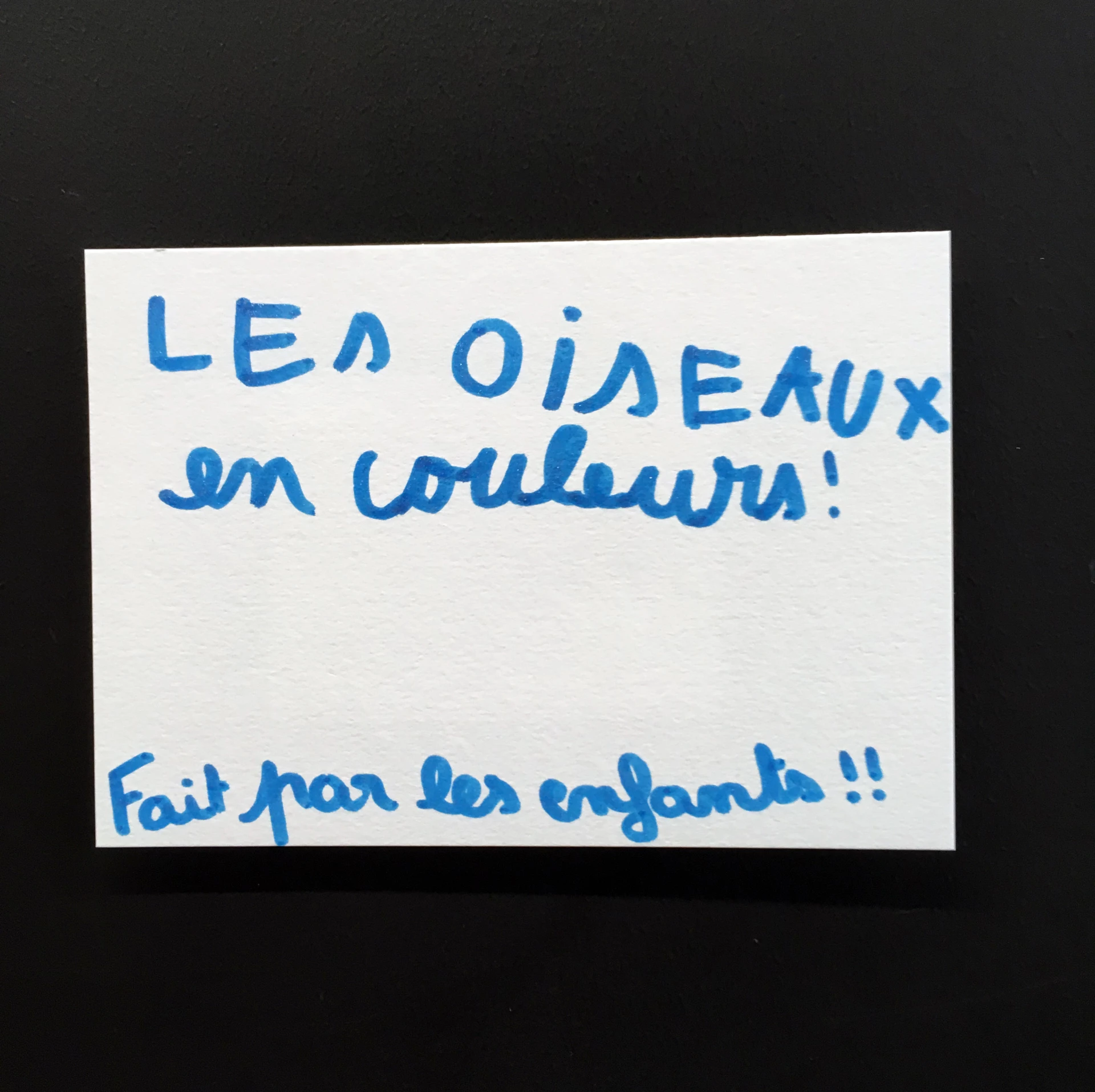 Delphine Perret - Couleurs et papier - médiation