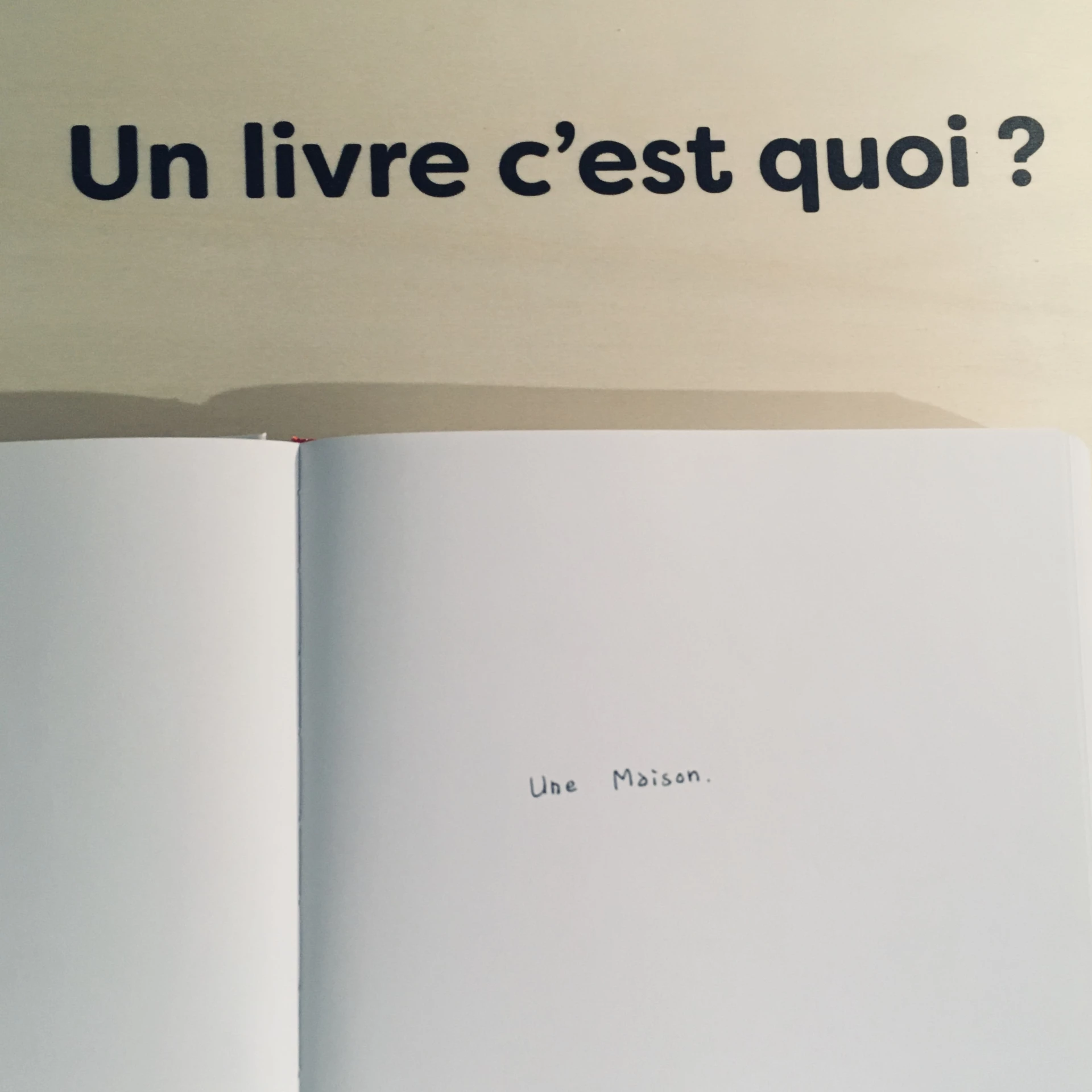 Delphine Perret - Un livre, c'est quoi?