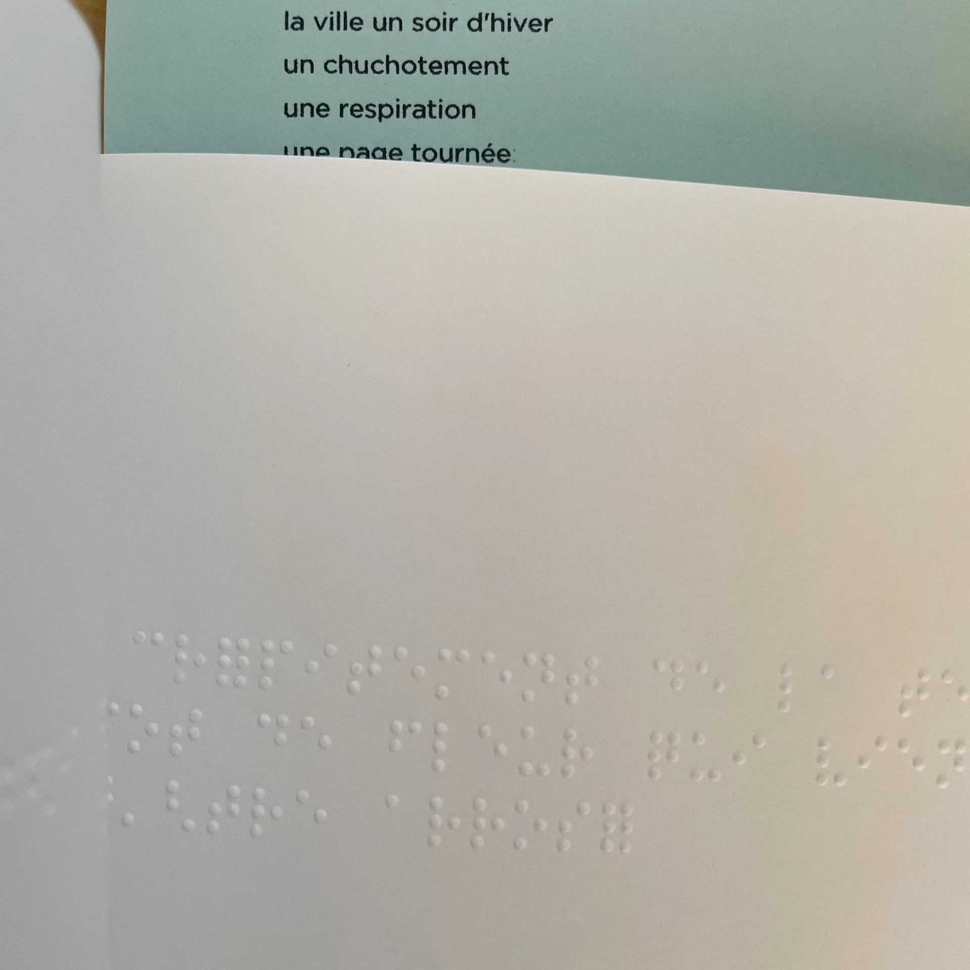 Delphine Perret - 27 bruits, imagier en braille