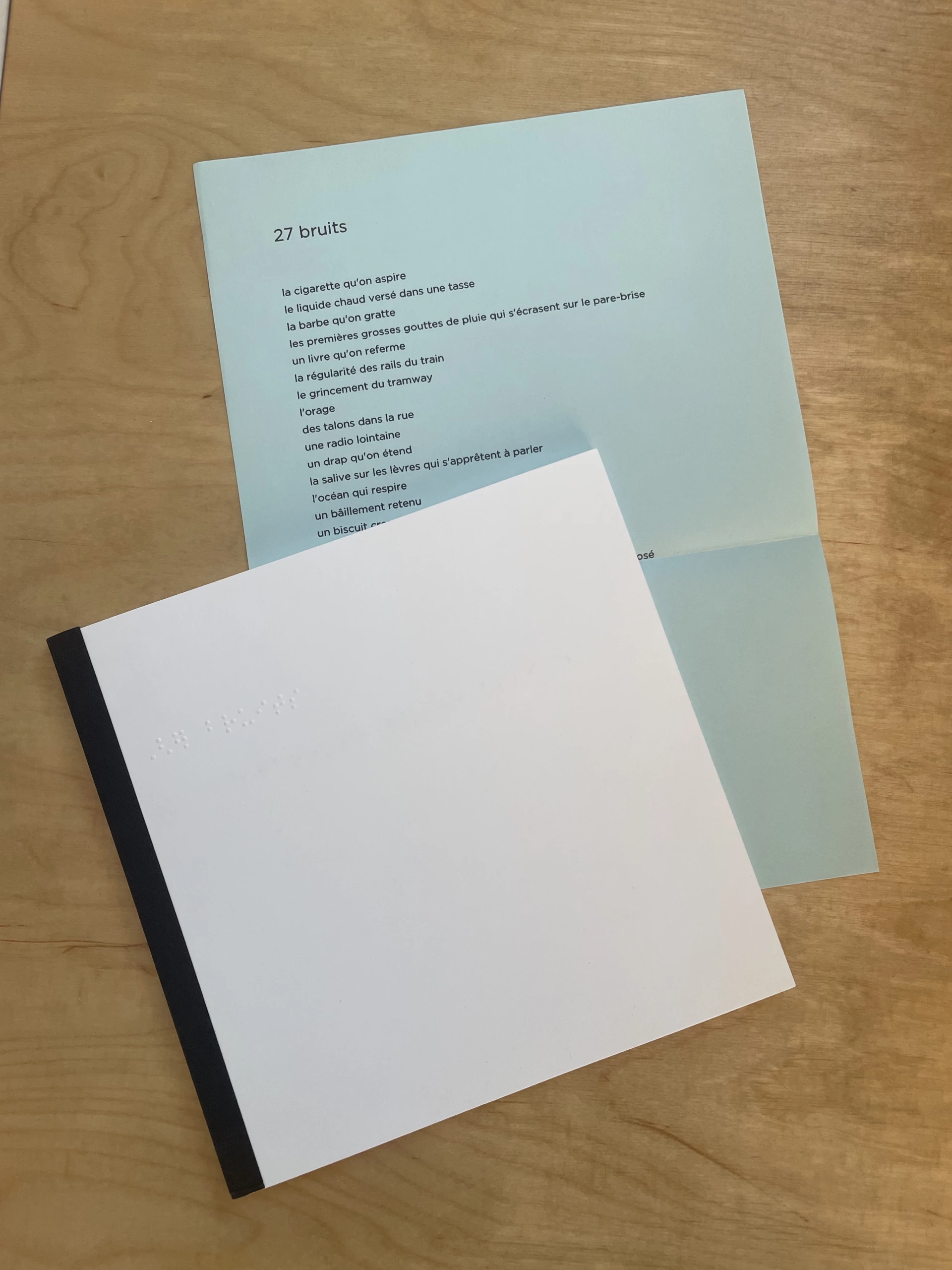 Delphine Perret - 27 bruits, imagier en braille