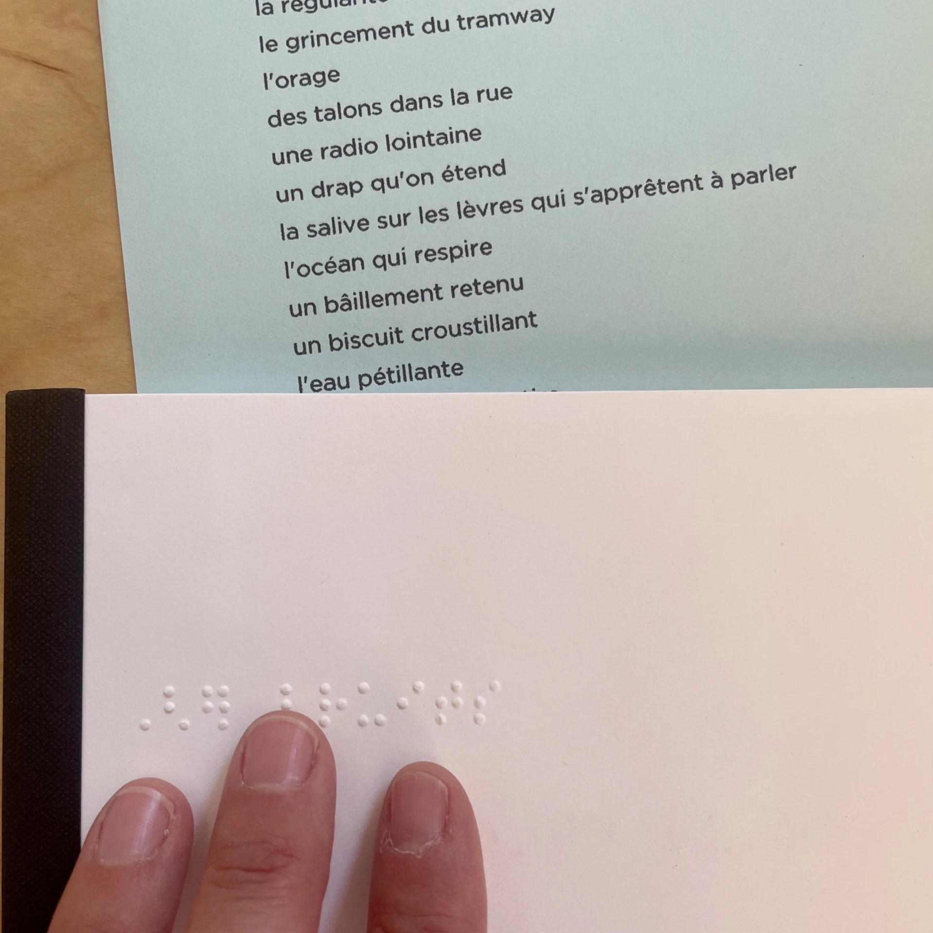Delphine Perret - 27 bruits, imagier en braille